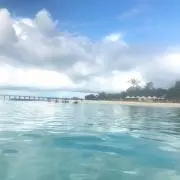 yukizouの画像