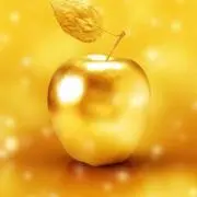 ワイルドの画像