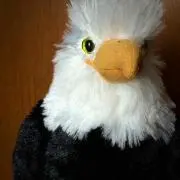 fanfunの画像