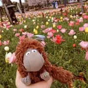 よりの画像