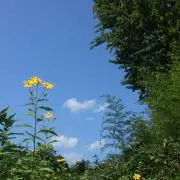 YASU ~断捨離中~の画像