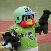 つば五郎の画像