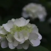 tocotoco08