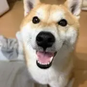 笑う門には福来るの画像