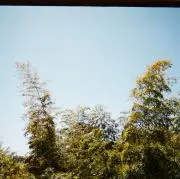 ！の画像