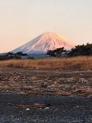 マァプの画像