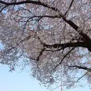 ごご◟̊◞̊