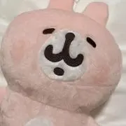 野うさぎの画像