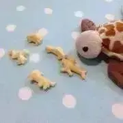 しろの画像