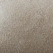 アラ