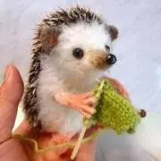 ハリネズミ