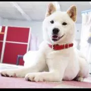 さっちん