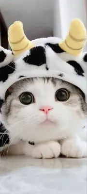 なちゅ♡♡