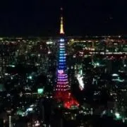 pesopeso_80の画像
