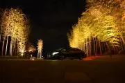 たーの画像