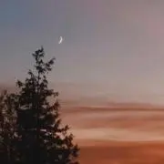 わまの画像