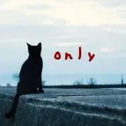 onlyの画像