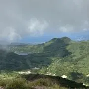 コートランド ※基本的に平日発送ですの画像
