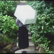 えび 即購入okの画像