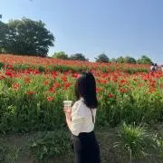 あいの画像