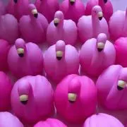 ひっくの画像