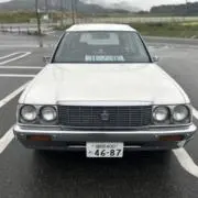 シンシン