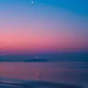 ぽむぽむの画像