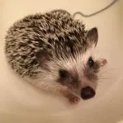 まー