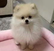 ゆーいちの画像