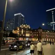 皮モドキの画像