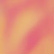 31の画像