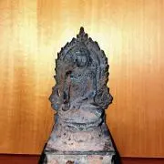 gorioの画像