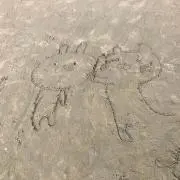 ももてつ