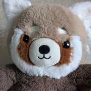 yoshiyoshiの画像