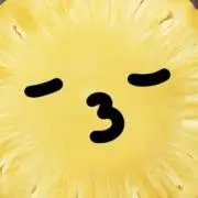L ※購入前コメント必須