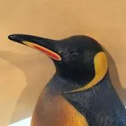 シロペンギンの画像