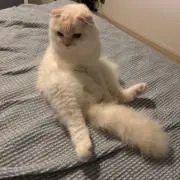 ぽてと