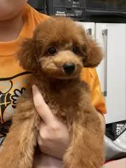 ちぃ
