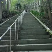 はるぱぱ