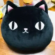 ちぃた★