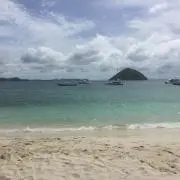 Alexの画像