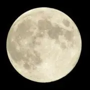 モッチ
