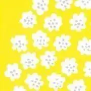 ききの画像