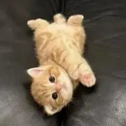 わたし