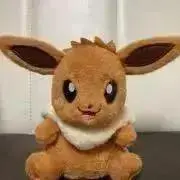 usgの画像