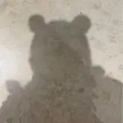 オムライスの画像