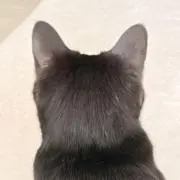 ヱルトリウム