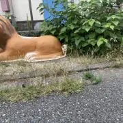 ぺんぎんの画像