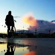 さんごの画像