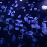 【値下げ依頼OK】st92cmの画像